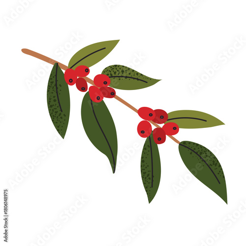 Coffee Berries Branch icon clipart logotype isolated illustration