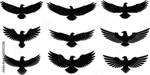 Eagle silhouette collection, flying poses in black, symbolic bird design set, freedom and strength theme, flat vector illustration