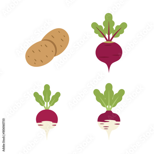 Collection of illustrated root vegetables including potatoes and beets.
