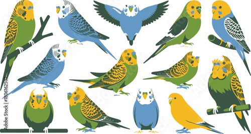 Illustrated Budgerigars Set Green, Yellow, Blue Colors, Perched, Flying, on Branches,