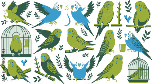 of Cute Budgerigars in Various Poses, Some in Cages or Perched