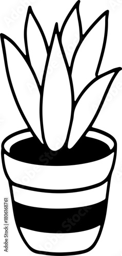 화분 라인드로잉