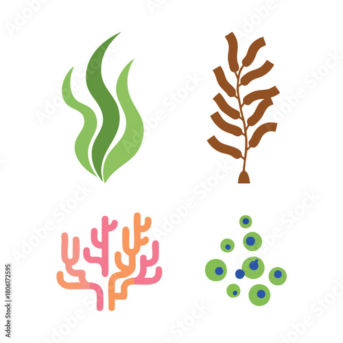 Diverse collection of seaweed and marine algae vector illustrations.