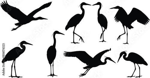 Set of elegant heron bird silhouettes in various poses including flying, standing, bending, and interacting for nature-themed vector design.