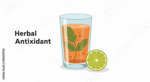 Refreshing Herbal Antioxidant Drink with Fresh Lime Slice Vector Illustration