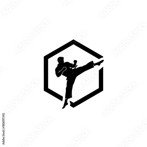 Dynamic Martial Arts High Kick Silhouette Encased in a Modern Hexagon Frame Design