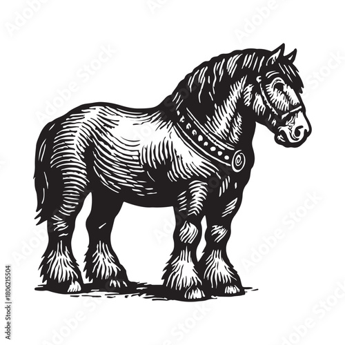 Vintage Horse Illustration Noble Animal Engraving with Intricate Detail and Strong Presence