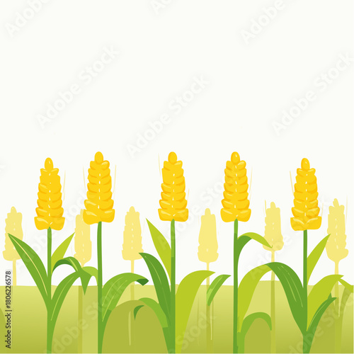 Golden Wheat Field A Simple and Clean Vector Illustration for Agriculture and Nature Themes