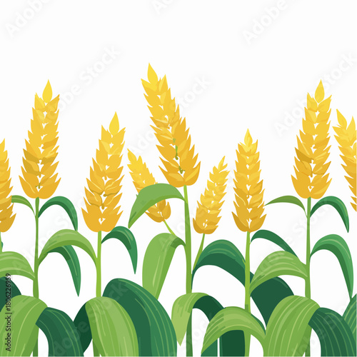 Golden wheat field border, a lush green and yellow illustration of ripe grain ready for harvest, representing agriculture and nature's bounty