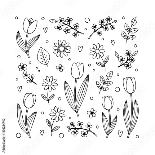 Spring Flowers & Foliage
“Easter doodles of spring flowers — tulips, daisies, leaves, blossoms — delicate minimal line art, soft spring feeling.”
