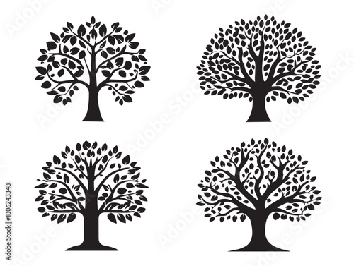 Stunning Family Tree Symbol Showing Elegant Lineage and Legacy Art  