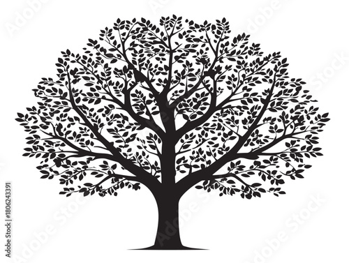 Beautiful Family Tree Illustration Displaying Gorgeous Ancestry Diagram  