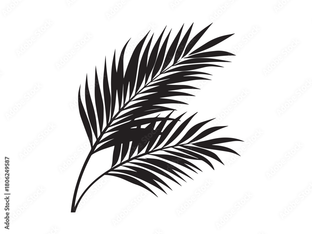 Fototapeta premium Beautiful Stylish Palm Leaves Symbol in Clean Minimal Monochrome Design