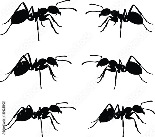 Climbing Ant Silhouette Vector Collection