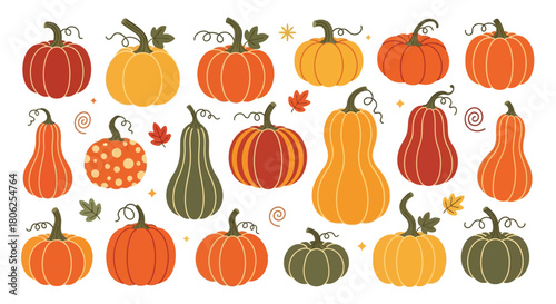 A colorful assortment of pumpkins and gourds for autumn decoration