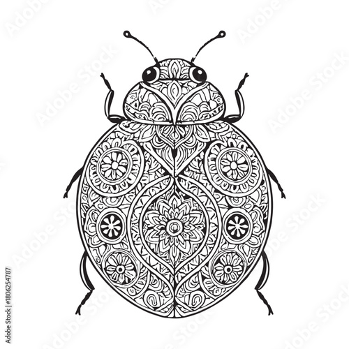 Detailed ladybug illustration with intricate patterns and designs, suitable for coloring books, adult coloring pages, or decorative purposes