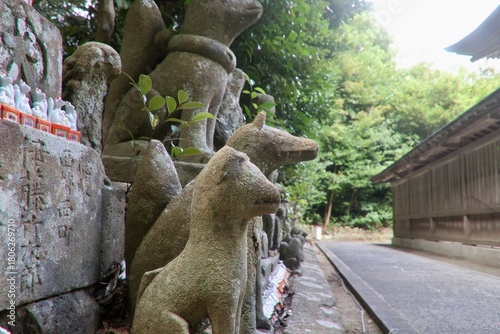 城山稲荷神社・石狐（島根県・松江市）