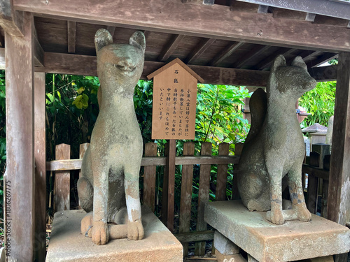 城山稲荷神社・石狐（島根県・松江市）