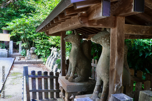 城山稲荷神社・石狐（島根県・松江市）