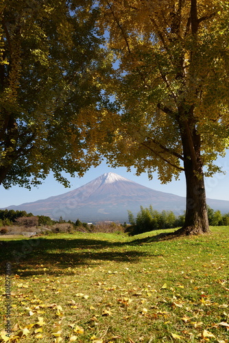 The autumn leaves during this season are beautiful