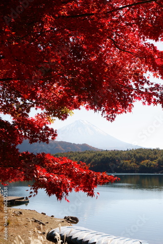 The autumn leaves during this season are beautiful