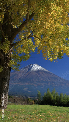 The autumn leaves during this season are beautiful