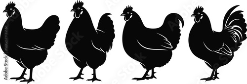Black Silhouette Rooster and Hen Chicken Icons Set Showing Different Poultry Breeds for Farm and Food Design Vector.