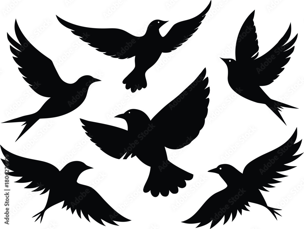 Obraz premium Flying Birds Silhouette Set – Flock of Birds Vector Illustration