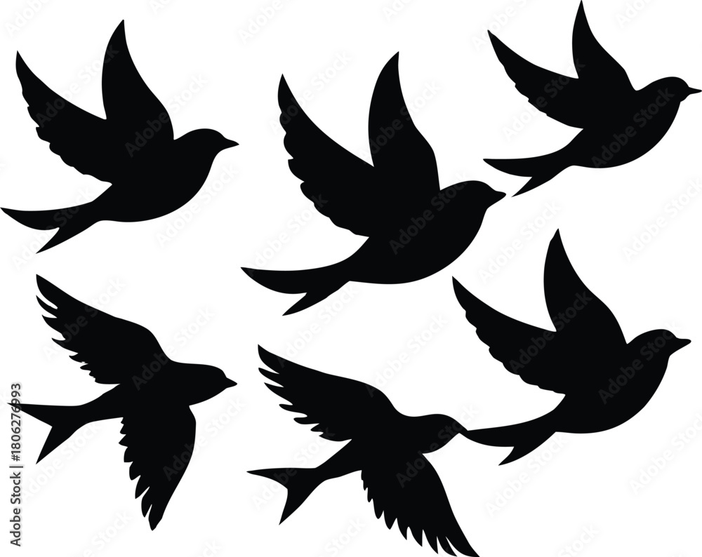 Fototapeta premium Flying Birds Silhouette Set – Flock of Birds Vector Illustration