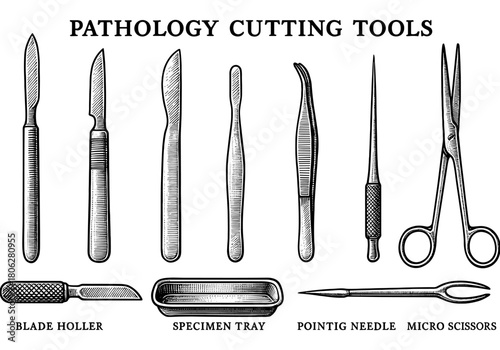 Detailed vintage medical cutting instruments with labels