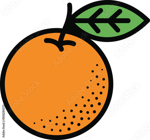 vector illustration of an orange