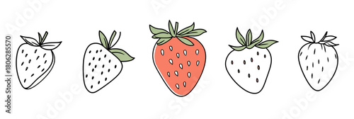 Row of simple hand drawn strawberry illustrations with one colored red strawberry in minimalist line art style on white background vector