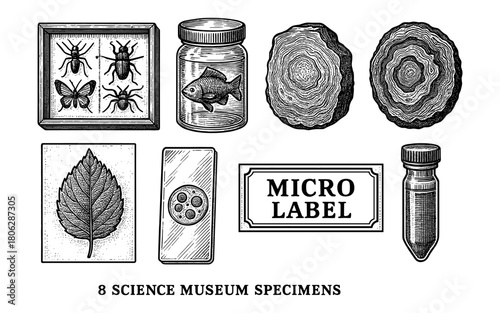 Vintage science exhibits collection: natural specimens and antique scientific labels