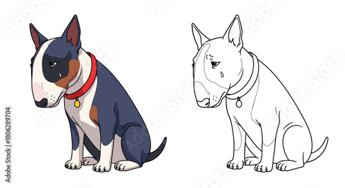  A strong bull terrier dog sitting with a serious expression in full color and as a black and white line art outline.