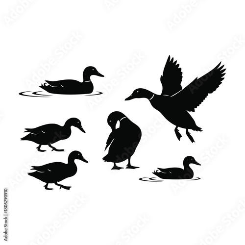 Mallard duck silhouettes in various natural poses