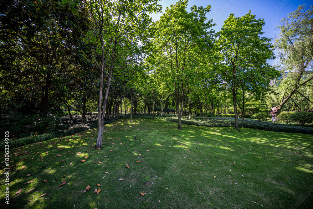 Obraz premium Tranquil Green Space Surrounded by Lush Trees and Vibrant Nature