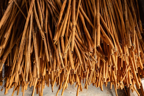 A big bunch of cinnamon sticks for wholesale delivery at cinnamon plantation in West Sumatra Indonesia