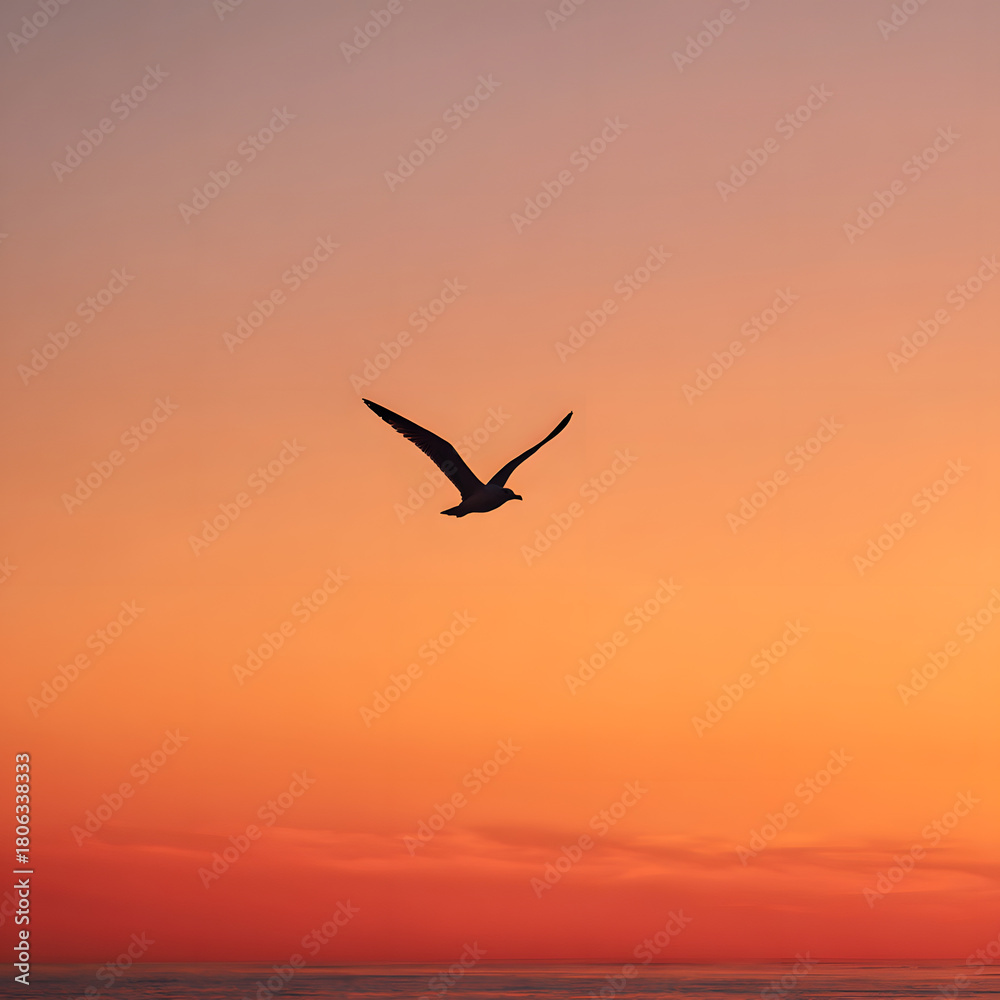 Fototapeta premium seagull in flight