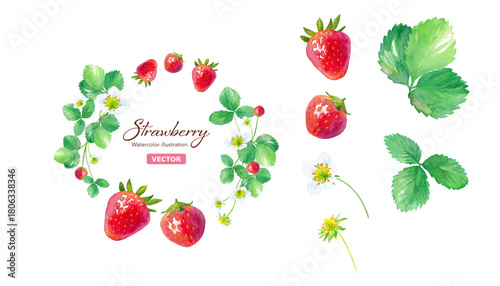 かわいいイチゴの丸型フレームと、エレメントのセット。水彩イラスト（ベクター）