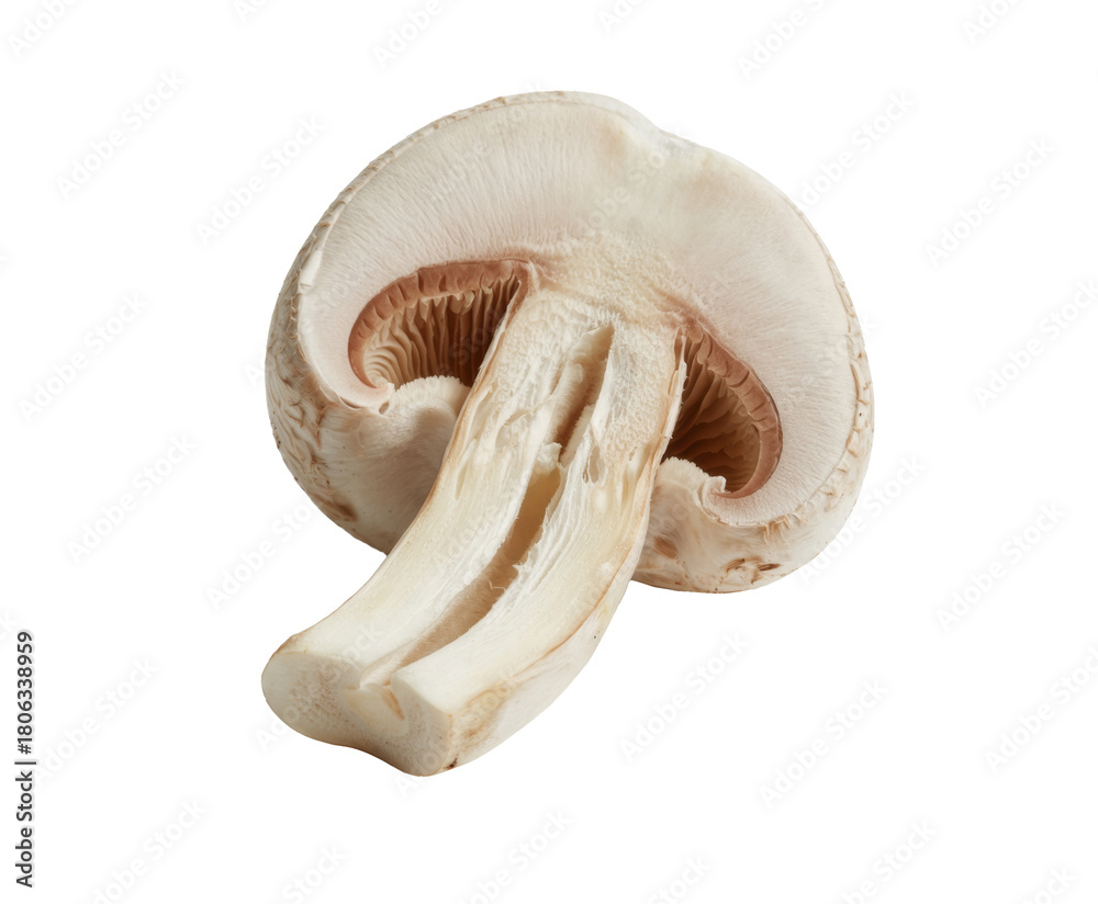 Fototapeta premium sliced mushroom isolated on white background.