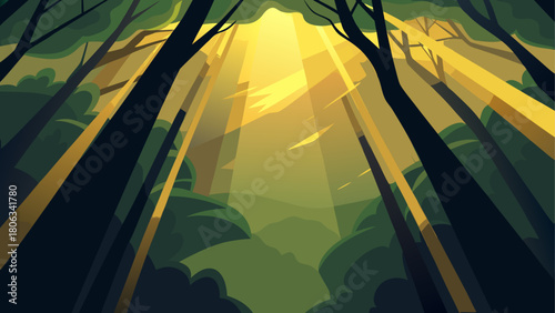 Sunlight shining through tall trees in the forest