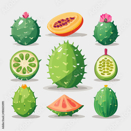 A collection of illustrated cactus fruits, including whole and sliced prickly pears, showcasing their vibrant green skin and colorful flesh.