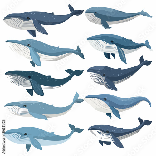 A collection of ten illustrated blue whales in various poses and shades of blue, isolated on a white background.