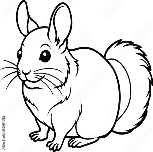 Cute cartoon chinchilla illustration for coloring pages and children s books