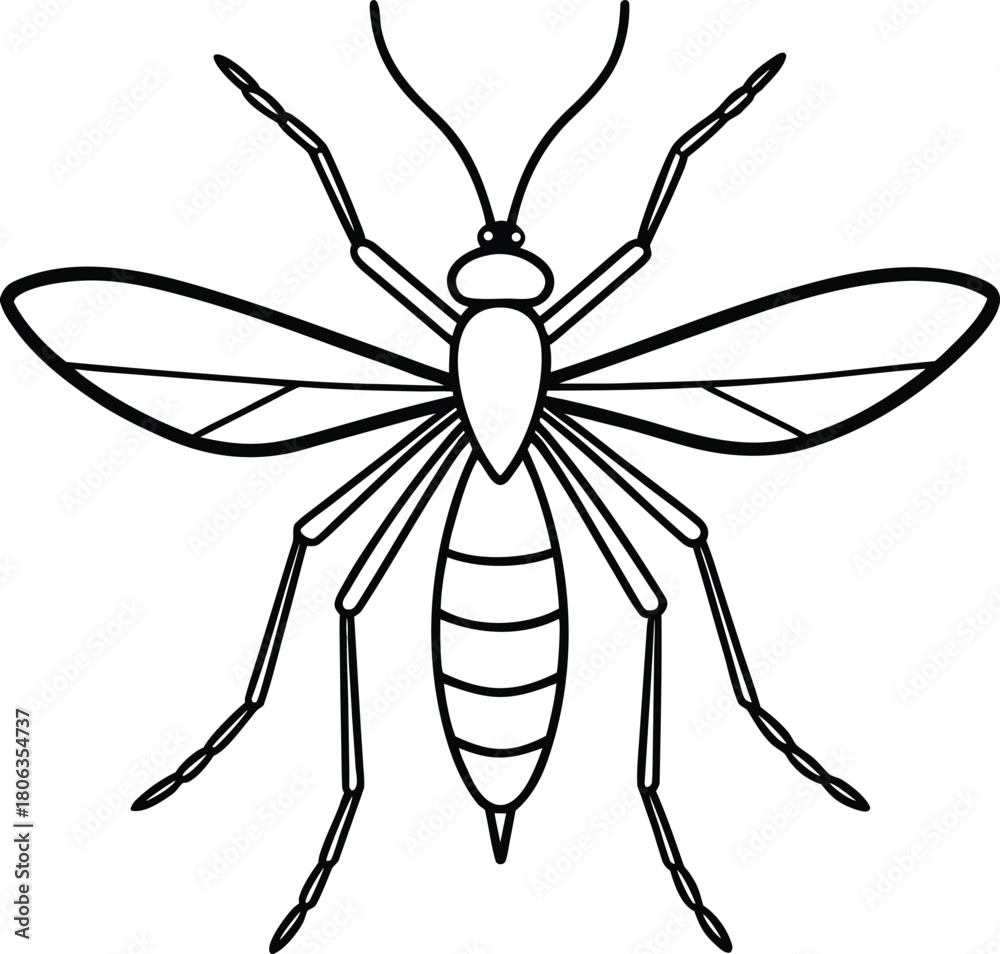 Fototapeta premium Detailed line drawing illustration of a winged insect with segmented body and antennae on a white background