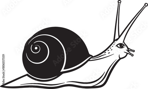 Black and white snail with coiled shell and protruding eye stalks moves along slowly