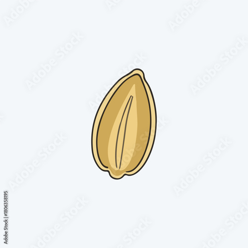 Isolated illustration of a single oat grain, showcasing its internal structure and details.