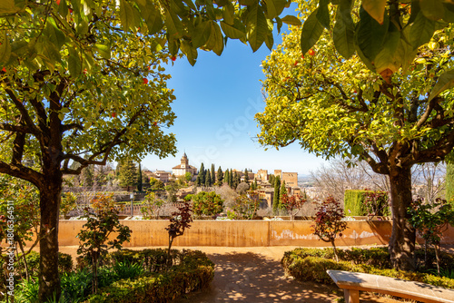 Orange trees in Generalife gardens with Alhambra at background, Granada, Spain