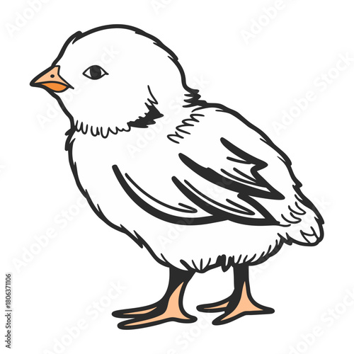 Cute Mallard Duck Cartoon Vector Illustration Isolated on White Background,