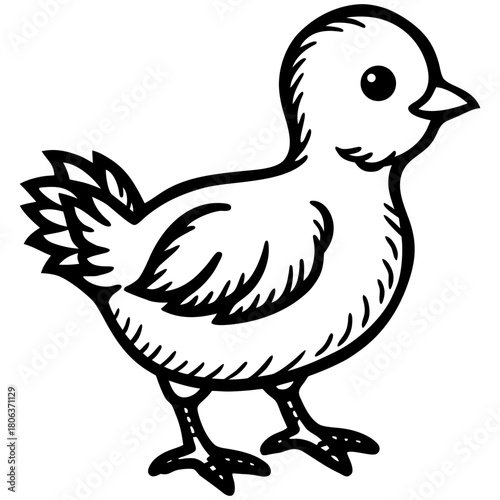 Cute Mallard Duck Cartoon Vector Illustration Isolated on White Background,